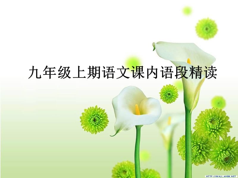 九年级上期语文课(1).ppt_第1页