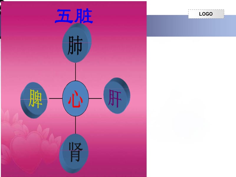 五脏 PP课件.ppt_第1页