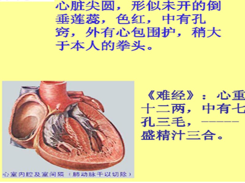 五脏 PP课件.ppt_第3页