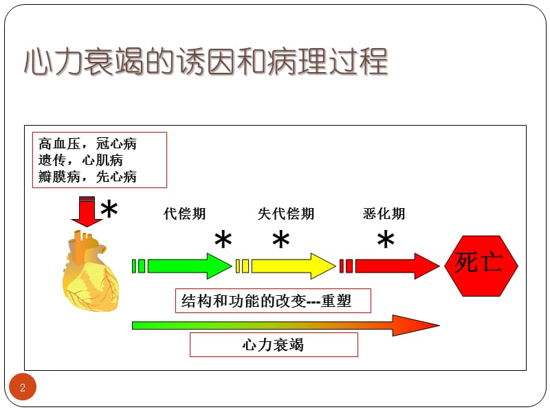 心力衰竭的信号通路-课件，幻灯，ppt.ppt_第2页