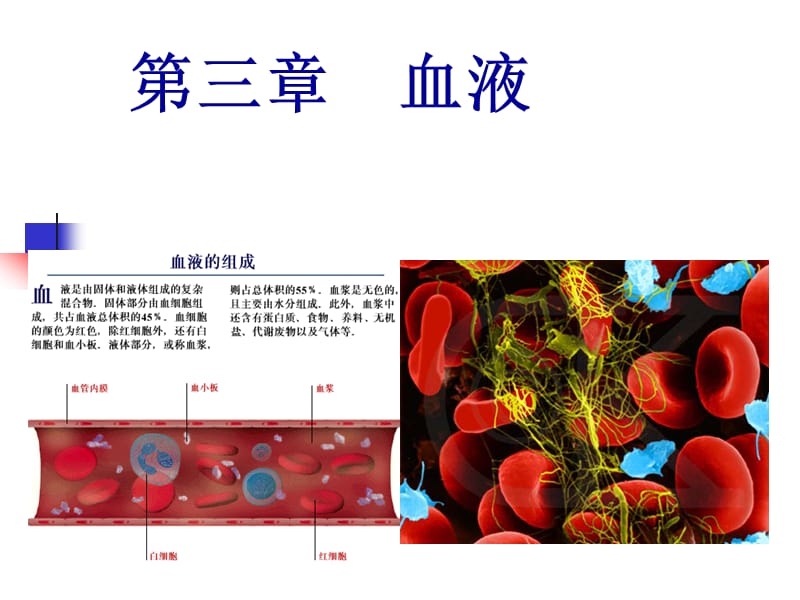 动物生理学_第三章_血液PPT课件.ppt_第1页