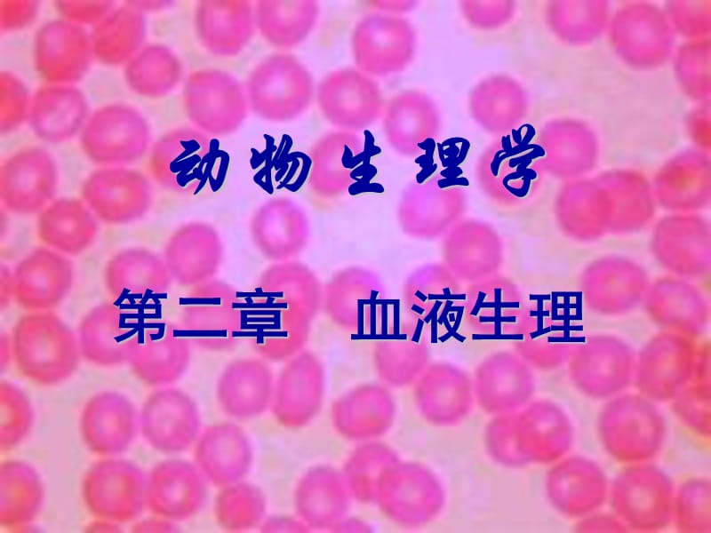 动物生理学-第二章PPT课件.ppt_第1页