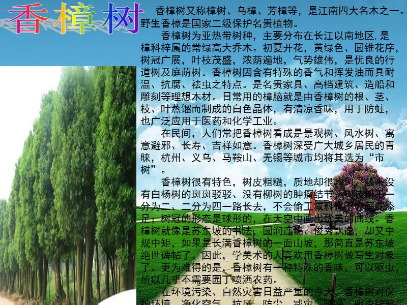 制作小组贾斯汀小组.ppt_第2页