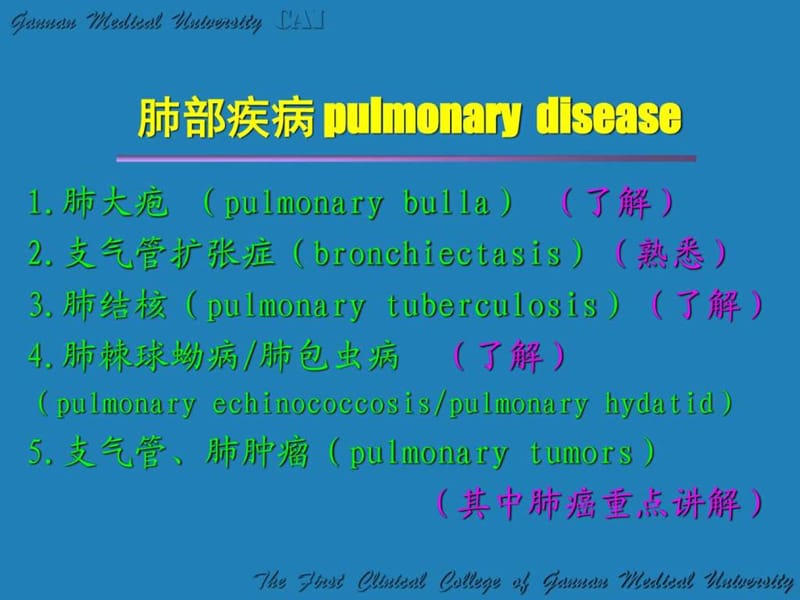 《肺部疾病》PPT课件.ppt_第2页