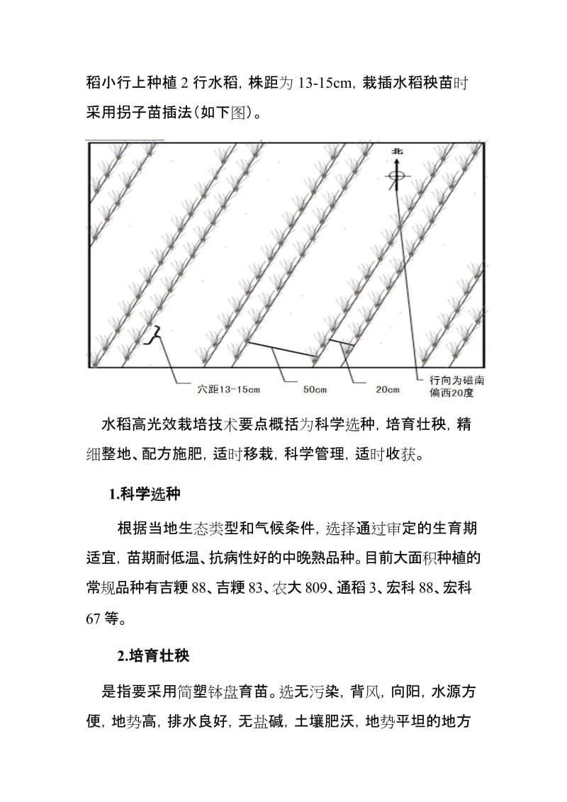 2019辉南县水稻高光效栽培技术1.doc_第3页