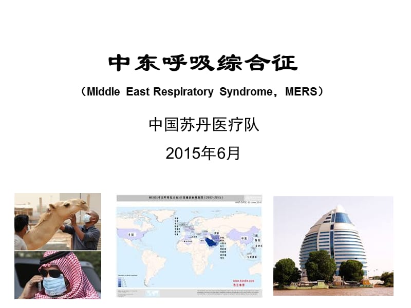 中东呼吸综合征MiddleEastRespiratorySyndromeMERSP.ppt_第1页