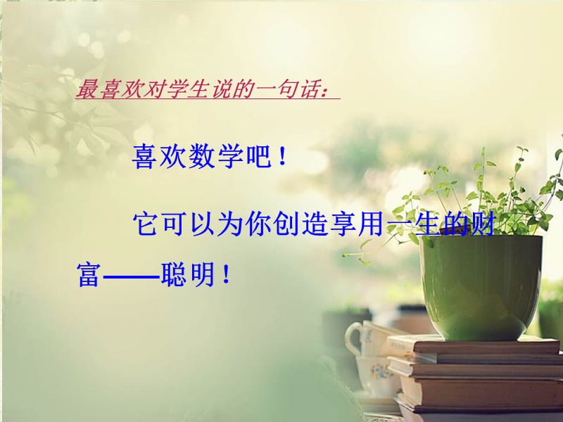 2019数学教师的职业特征与教学策略.ppt_第2页