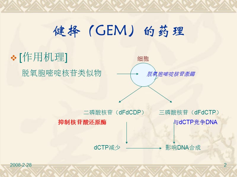 吉西他滨（健泽）简介-课件，幻灯.ppt_第2页