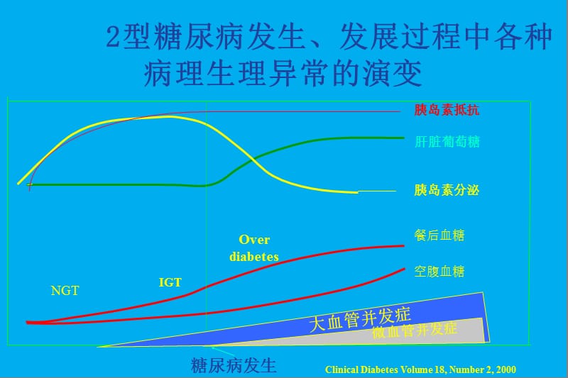 口服降糖药治疗.ppt_第3页