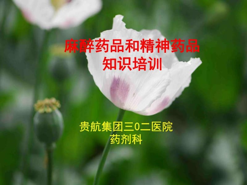 【图文】麻醉药品和精神药品知识培训课件.ppt_第1页