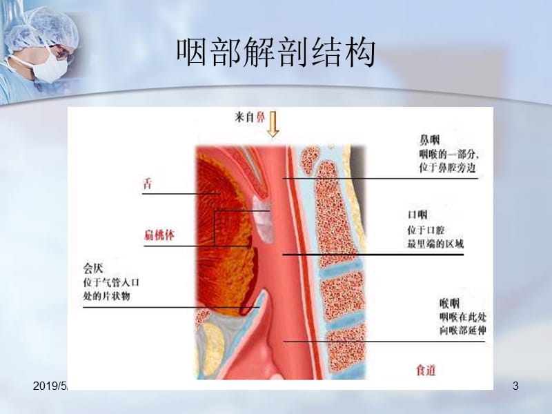 喉罩在ＩＣＵ、急诊、复苏的应用-教学课件.ppt_第3页