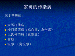 家禽的传染病.ppt