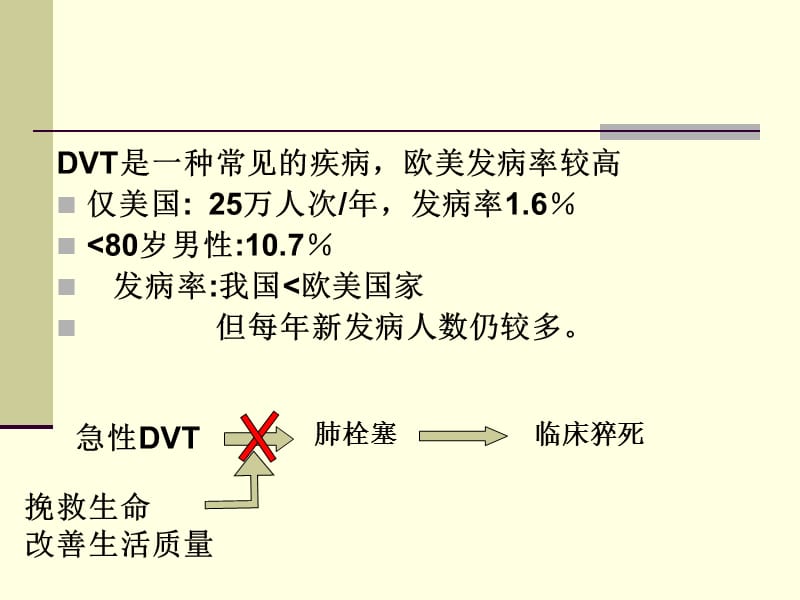 医学ppt--下肢静脉血栓.ppt_第2页