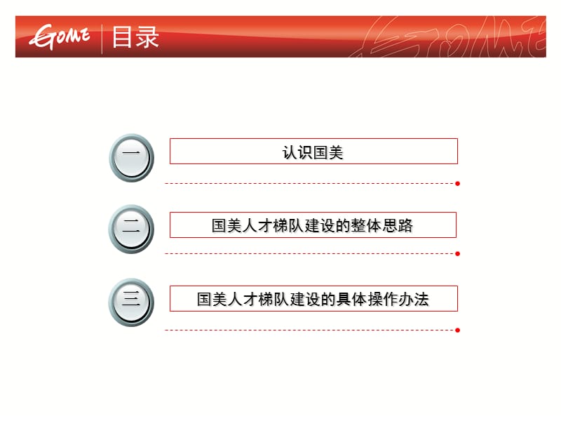 国美电器-2009年度人才梯队建设简介.ppt_第2页