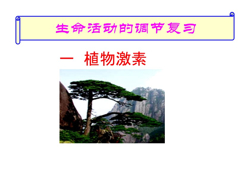 植物生命活动调节.ppt_第2页