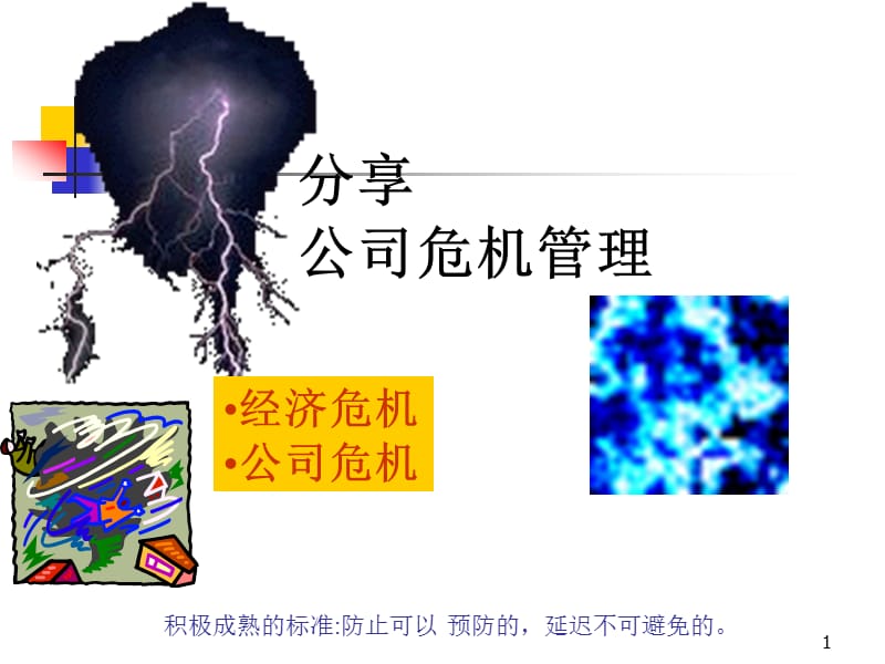 战略危机培训.ppt_第1页