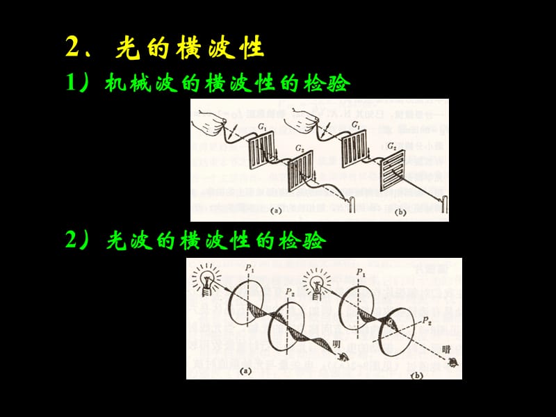 大学光学经典课件L12__光的横波性与五种偏振态.ppt_第3页