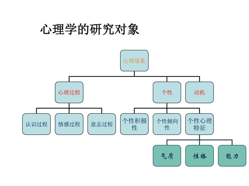 幼儿教师资格证辅导课件.ppt_第2页