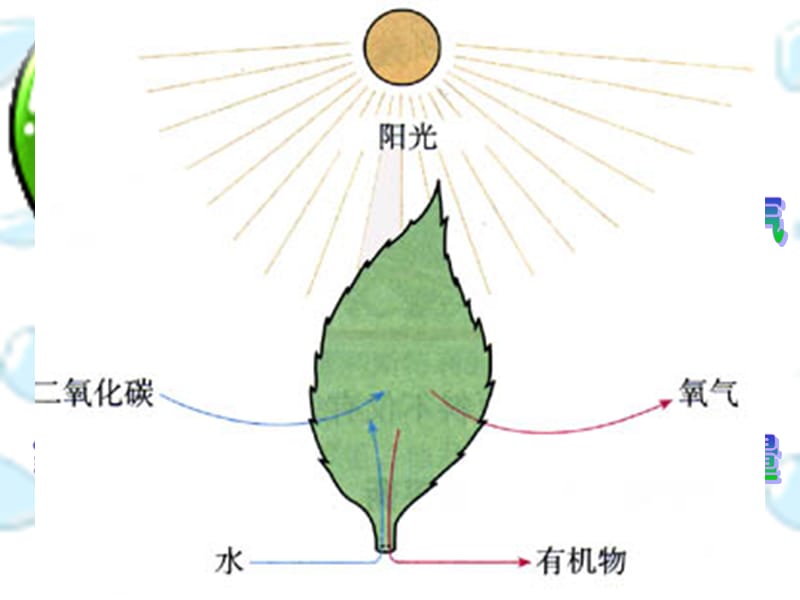 知识搜索.ppt_第1页