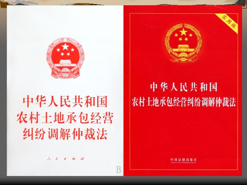 土地承包经营纠纷 调解和仲裁.ppt_第3页