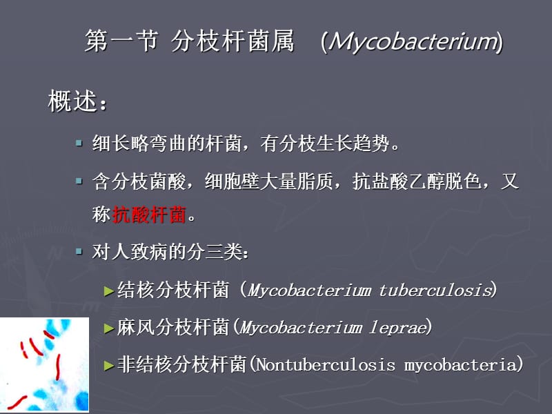 呼吸道感染的细菌PPT课件.ppt_第2页