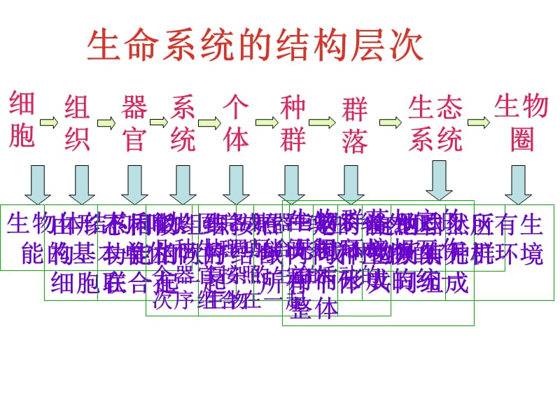 新人教高中生物必修一复习课件.ppt_第1页