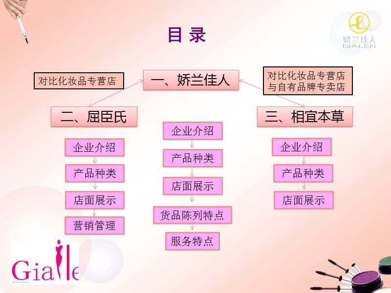 娇兰佳人化妆品销售分析.ppt_第2页