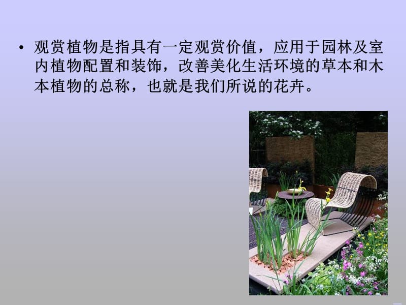 植物装饰与应用.ppt_第1页