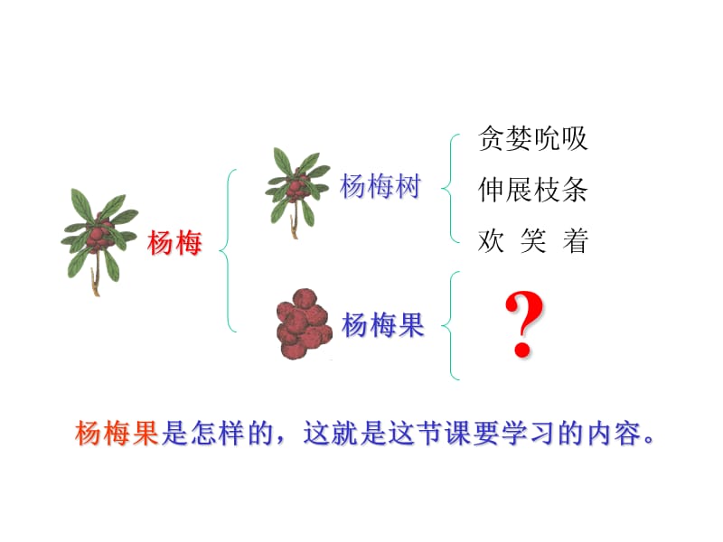 浙教版四年级下册我爱故乡的杨梅课件.ppt_第2页