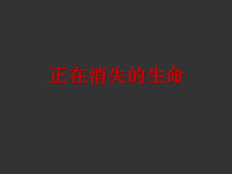 正在消失的生命.ppt_第1页