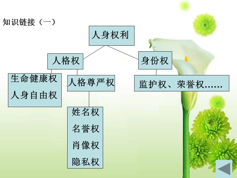 知识链接一课件.ppt_第1页