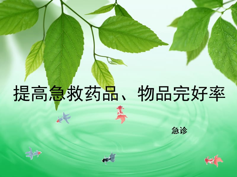 提高急救药品物品完好率.ppt_第1页