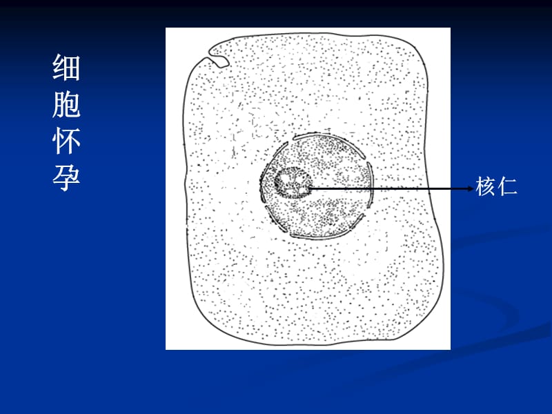 浙江省普陀中学.ppt_第3页