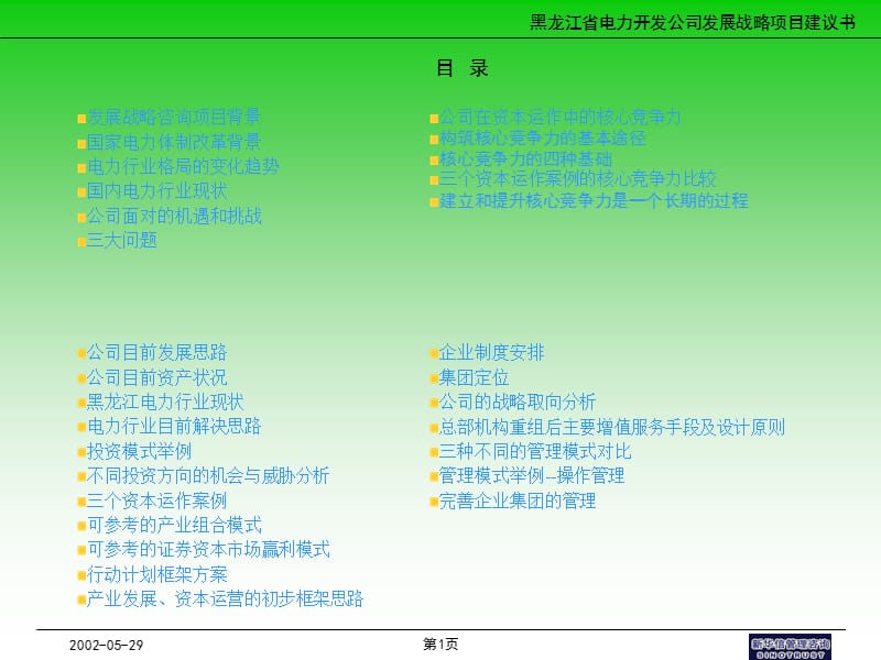 战略项目建议书.ppt_第1页