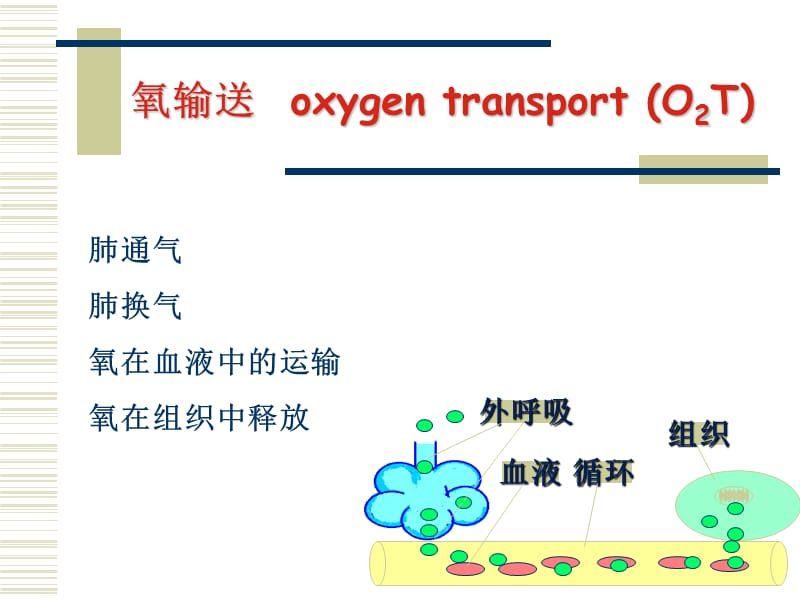 氧供需平衡-麻醉课件.ppt_第2页