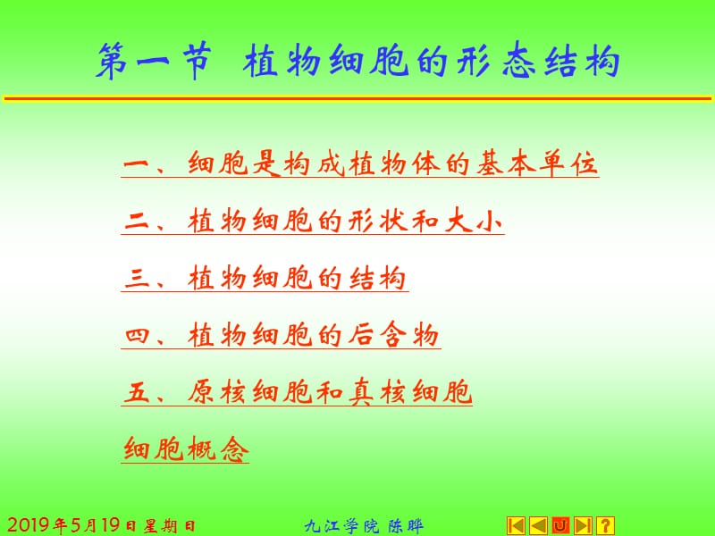 植物形态解剖学.ppt_第2页