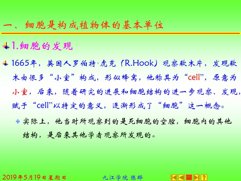 植物形态解剖学.ppt_第3页