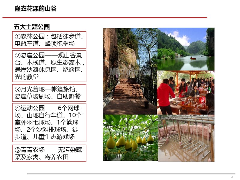 成都、重庆文化旅游地产项目案例研究（44页）.ppt_第3页