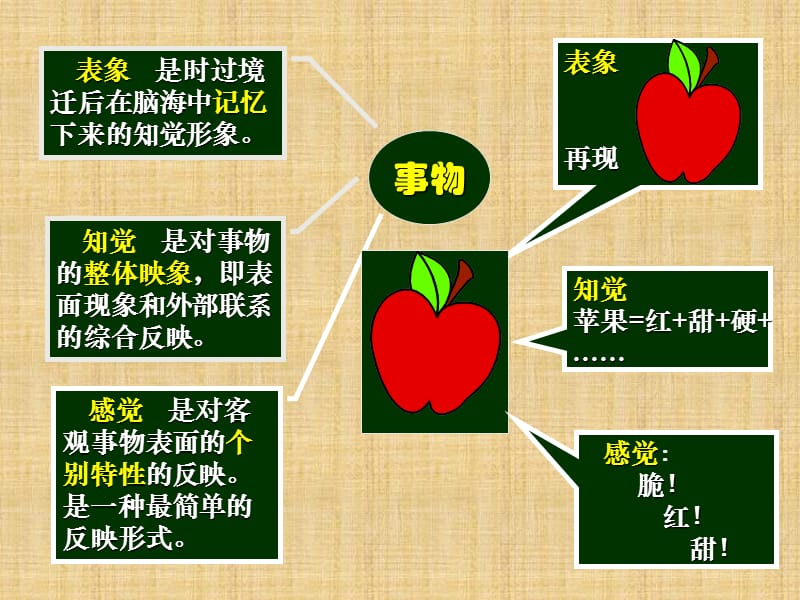 20195、寻求真知的过程高三哲学内容.ppt_第3页