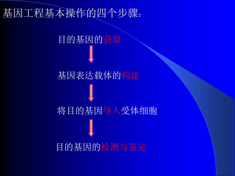 基因工程的基本操作程序--精品PPT课件.ppt_第2页