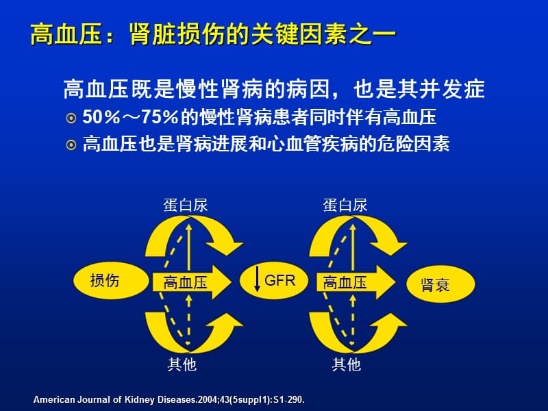 慢性肾病并高血压患者的降压治疗.ppt_第2页