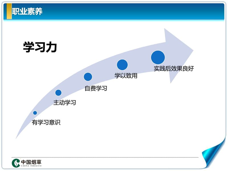 国内PPT精选案例—中国烟草_总结汇报_办公应用_PPT专区.ppt_第3页