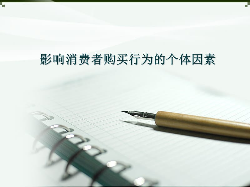 影响消费者购买行为的个体因素 PPT.ppt_第1页