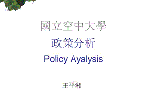 政策分析.ppt