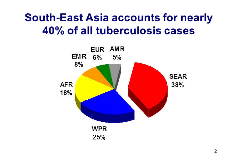 结核病的有效诊断，治疗和控制-英文.ppt_第2页