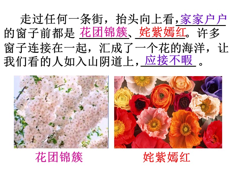 执教陈雅琴.ppt_第3页