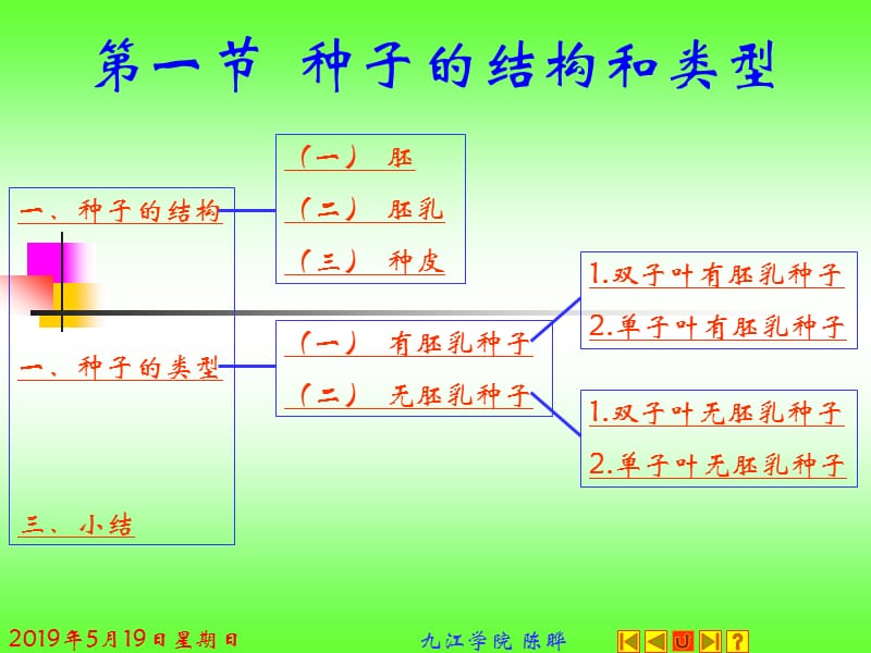 植物形态学.ppt_第2页