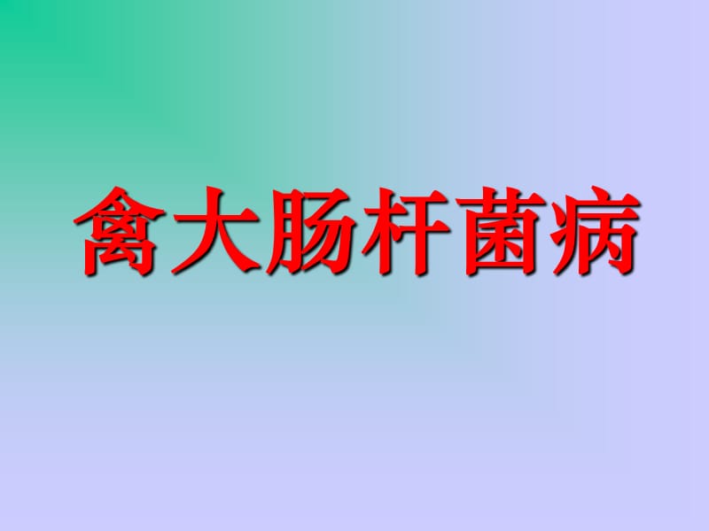 禽大肠杆菌病PPT课件.ppt_第1页