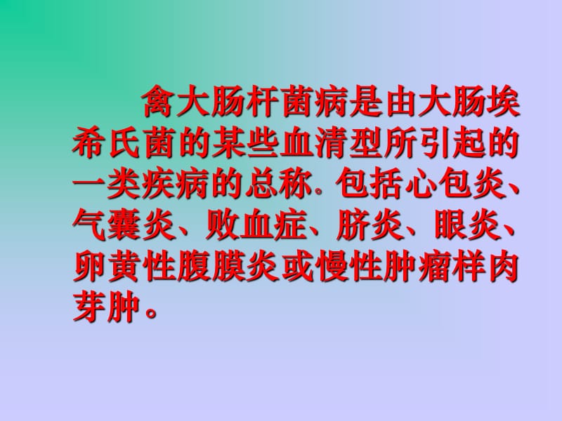 禽大肠杆菌病PPT课件.ppt_第2页