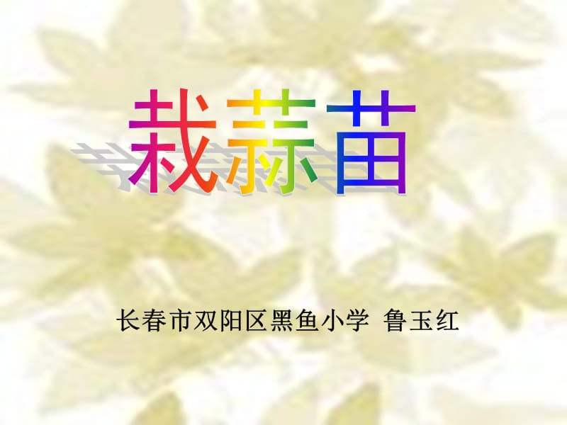 长春市双阳区黑鱼小学鲁玉红.ppt_第1页